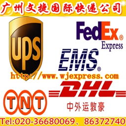 一站式指南 國際快遞查詢、公司選擇與廣州貨物進出口全解析