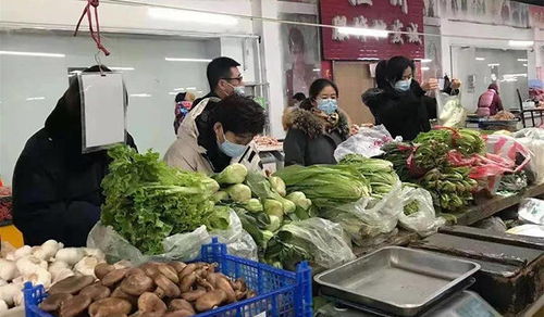 白城市扎實(shí)推進(jìn)“兩節(jié)”期間農(nóng)產(chǎn)品質(zhì)量安全宣傳與檢測(cè)工作